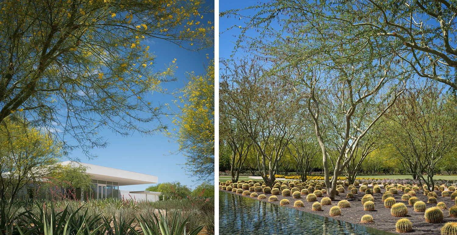 sunnylands1.jpg