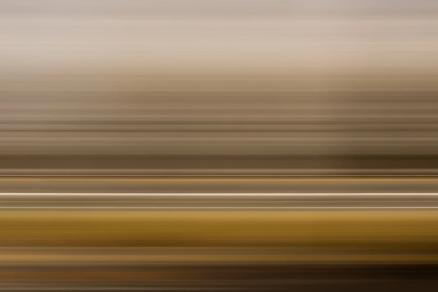 Untitled #48 (Broderick), 2017