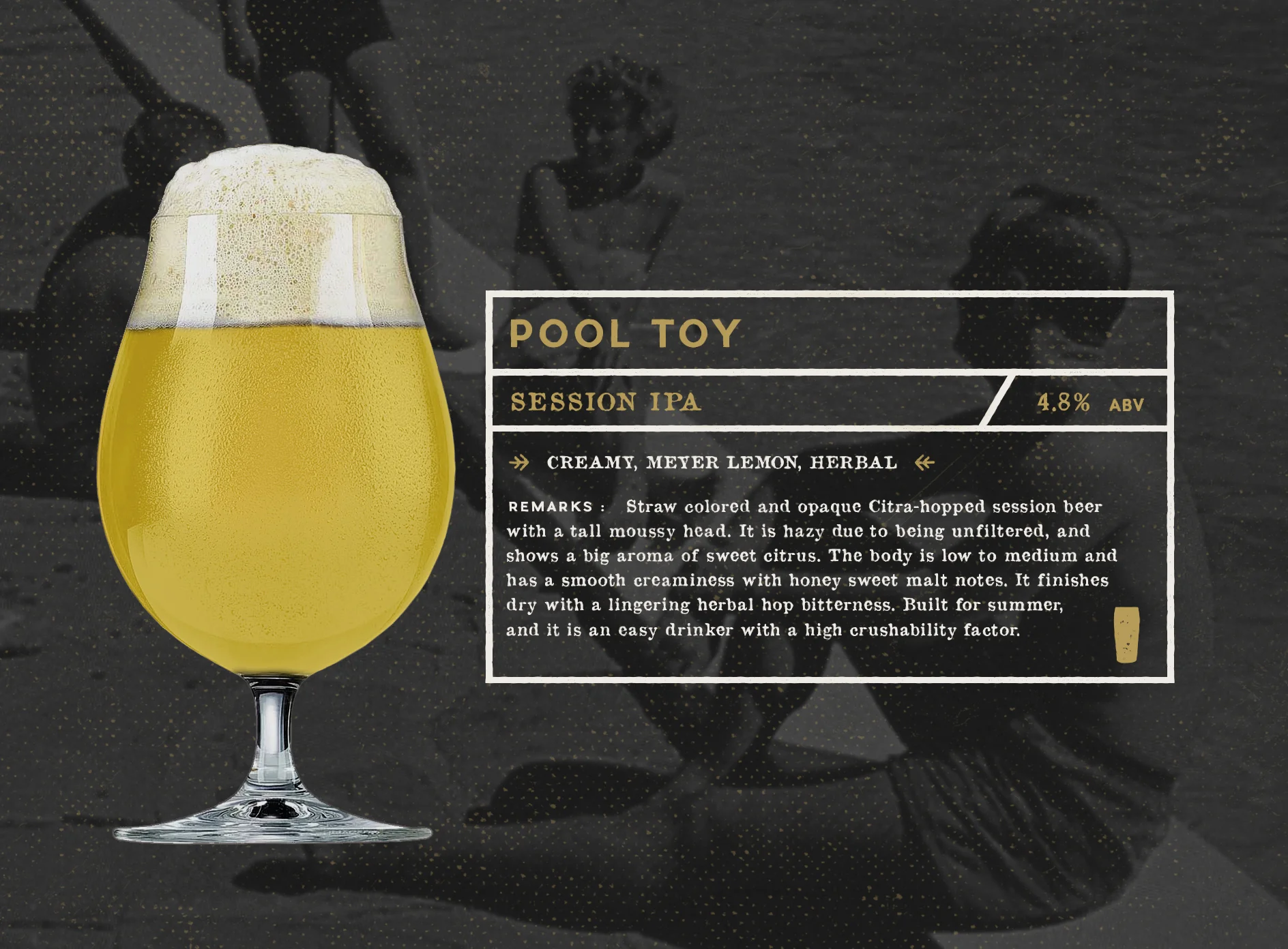 POOL TOY