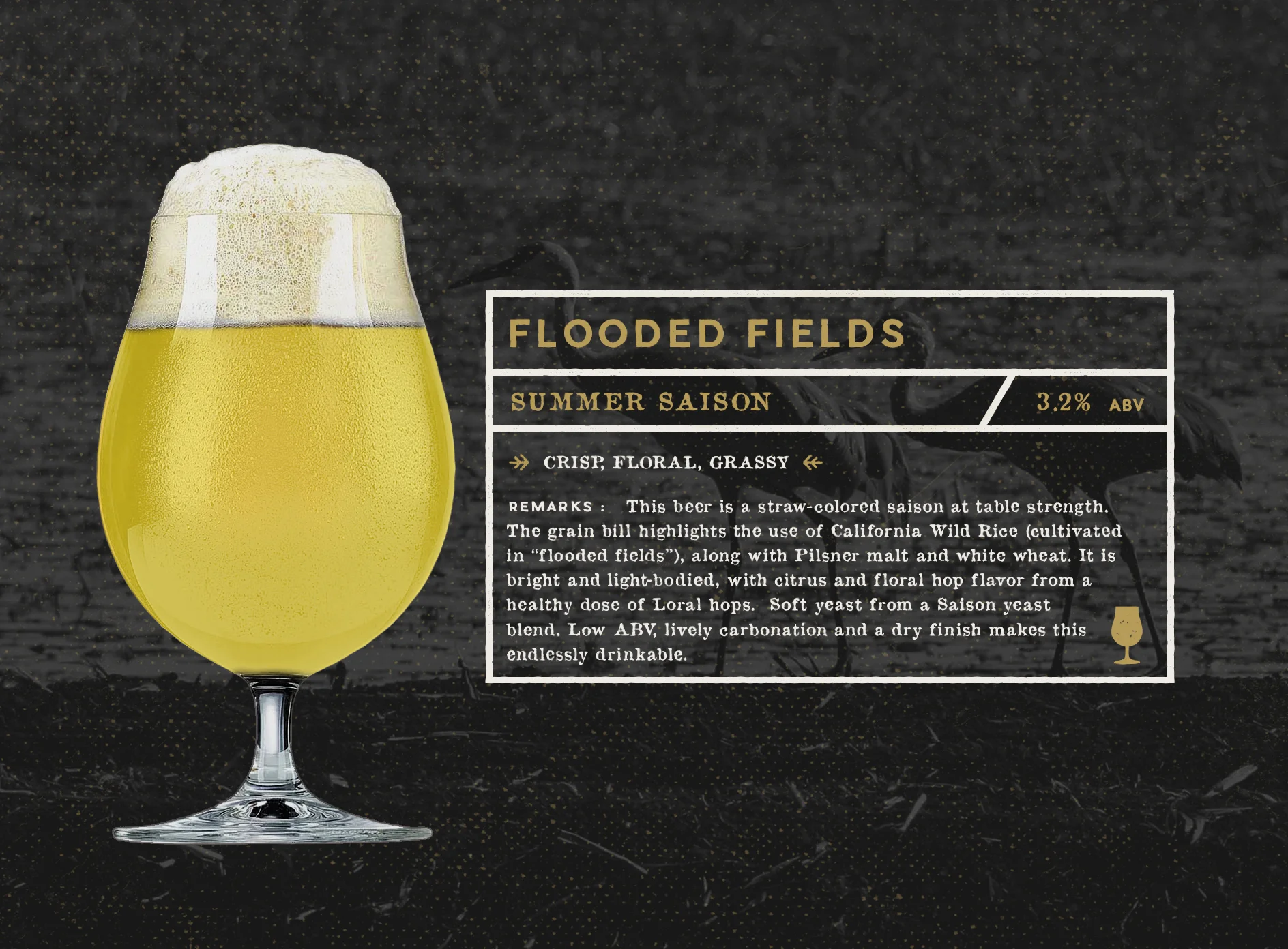 FLOODED FIELDS