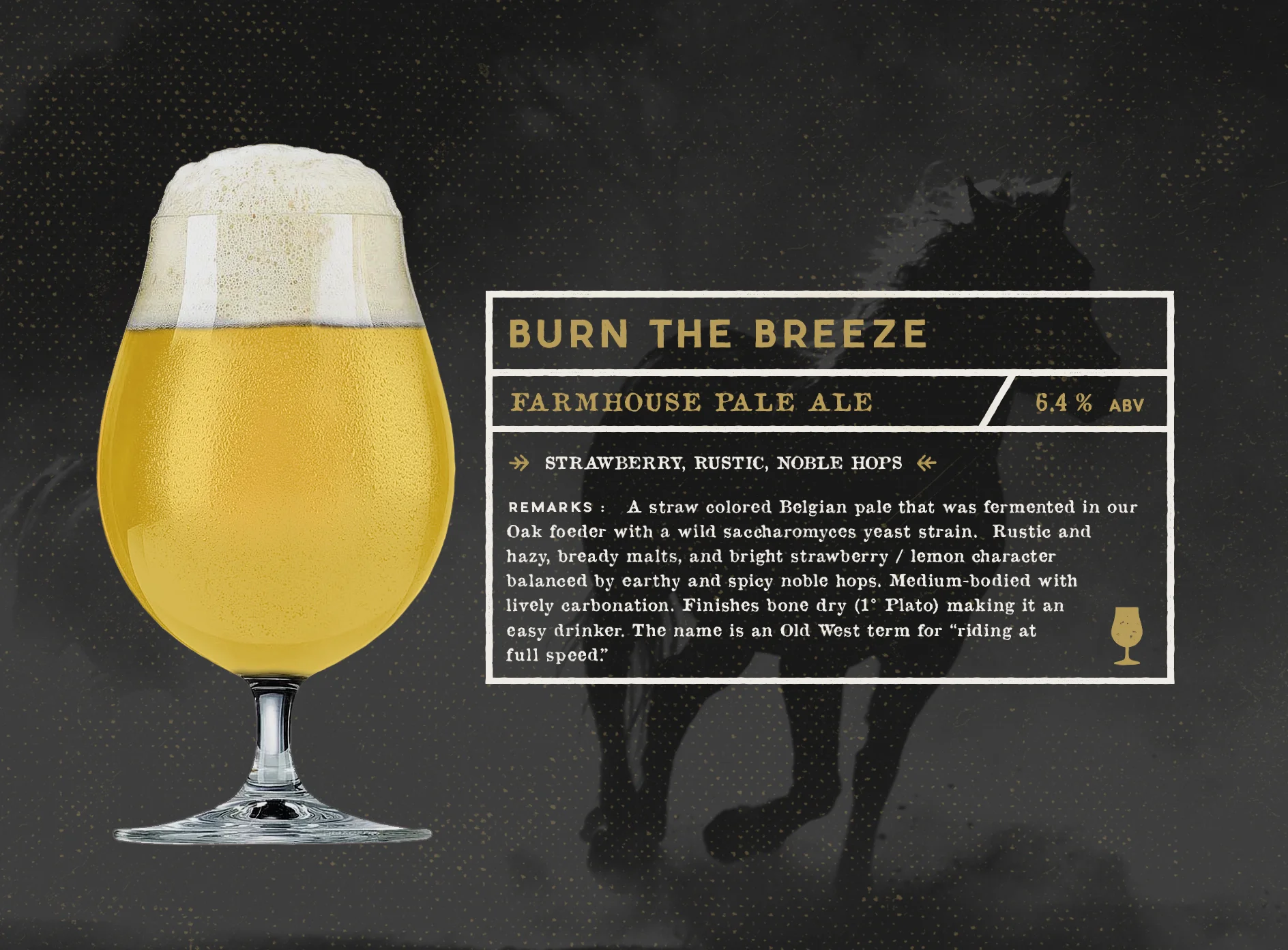 BURN THE BREEZE