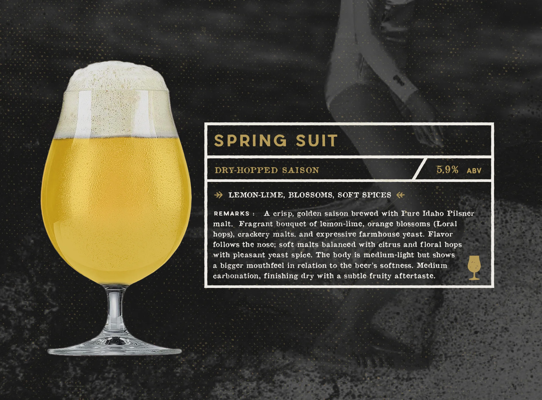 SPRING SUIT