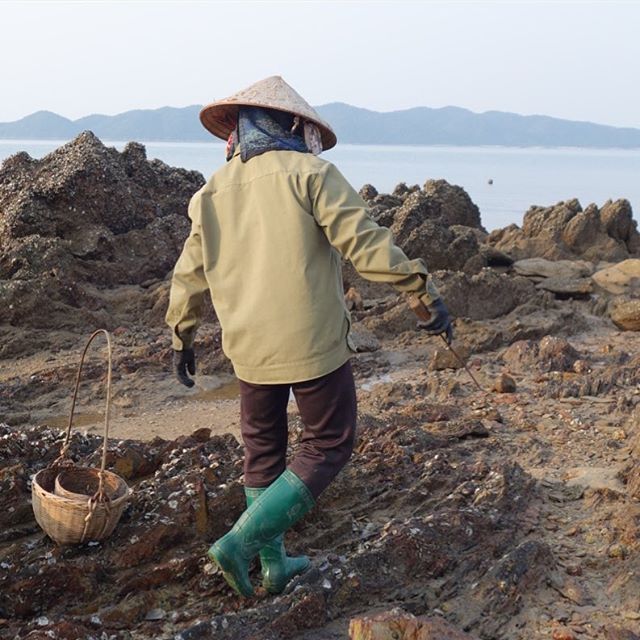 Snail foraging on Cai Chien Island 🐌 Right up near the Chinese border a small island community is beginning to think about the impacts of tourism and tourism development. @capilanou tourism faculty and students were invited to assess the tourism pot