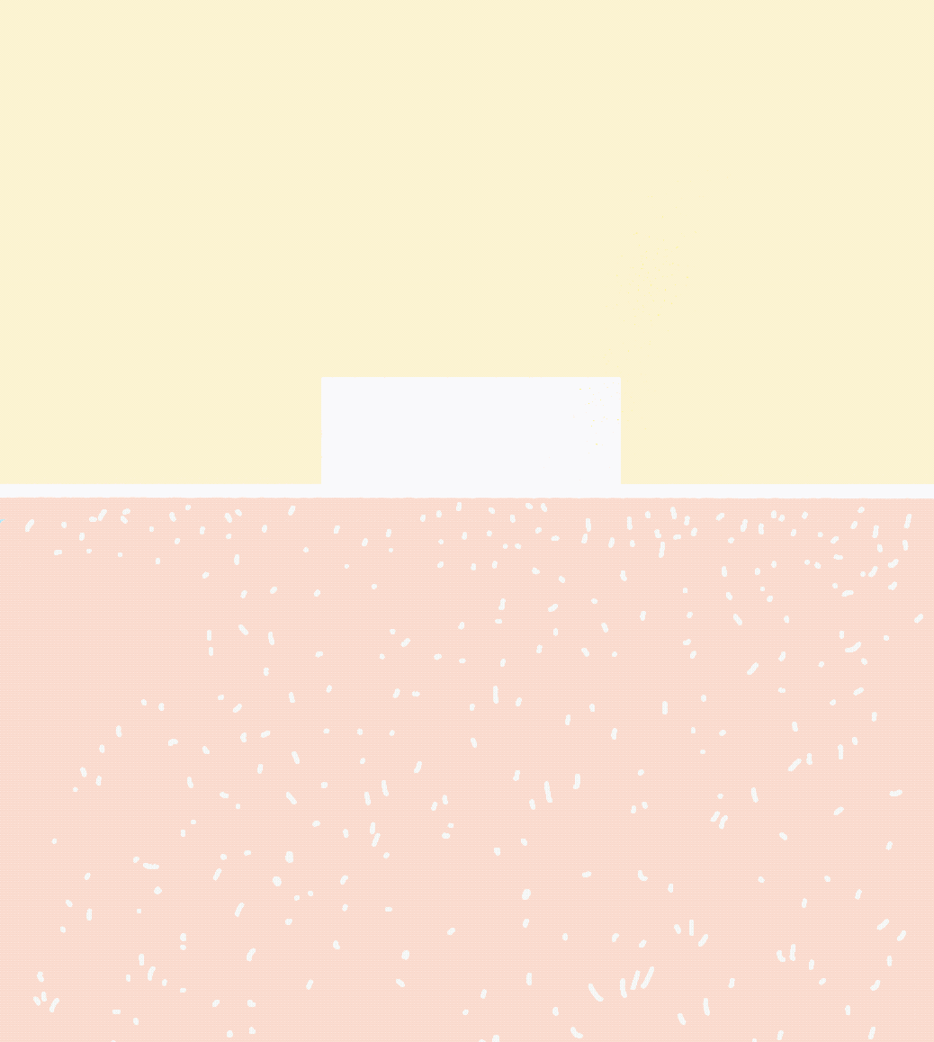 Revised_Mary_Current_ 2.gif