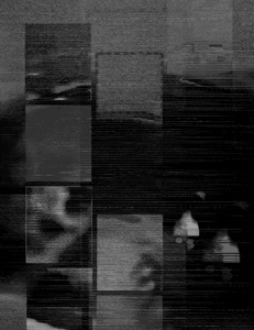 suzanne-darcy-3.gif