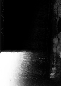 suzanne-darcy-icsided-5.gif