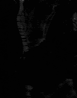 suzanne-darcy-icsided-c.gif