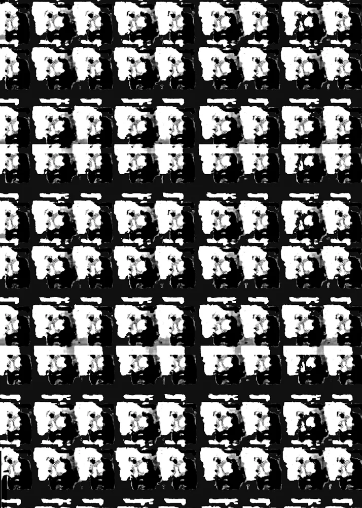 suzanne-darcy-texture-001.jpg