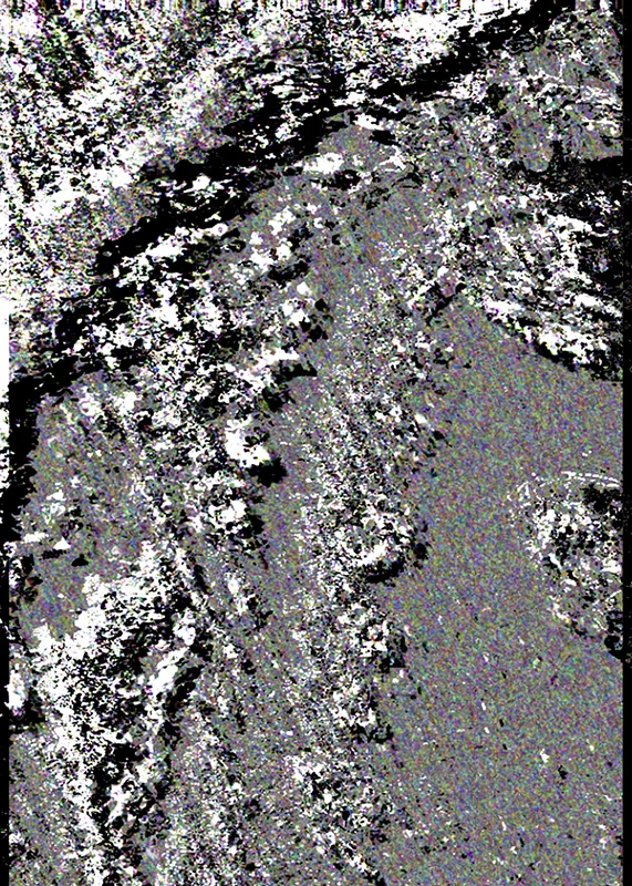 suzanne-darcy-texture-018.jpg