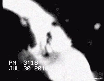 suzanne-darcy-baby-24.gif