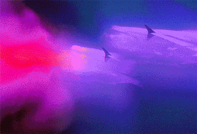 suzanne-darcy-baby-97.gif