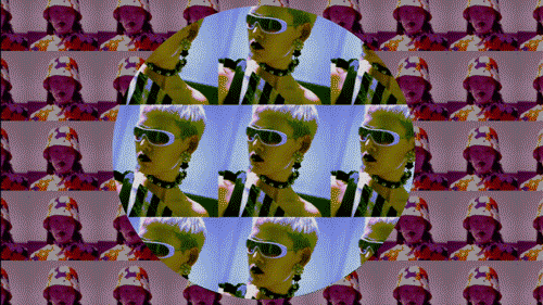 suzanne-darcy-33.gif