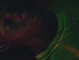 suzanne-darcy-63.gif