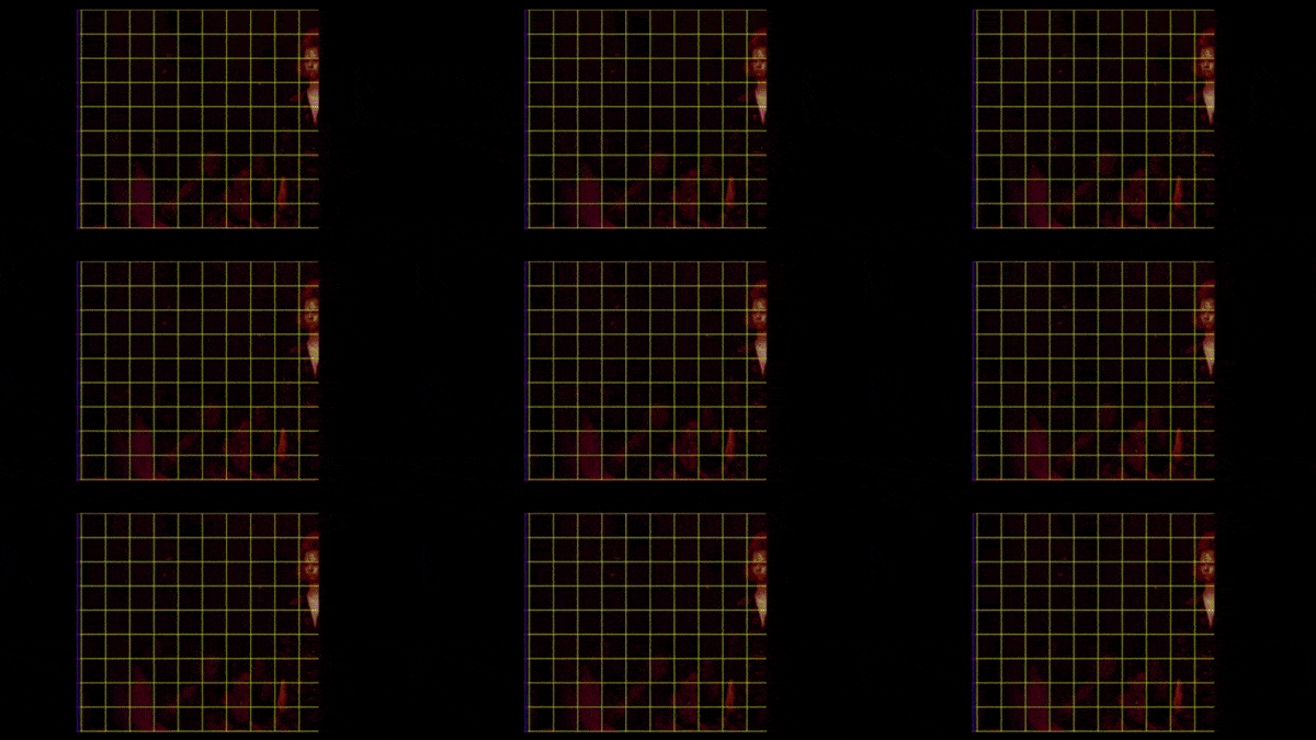 suzanne-darcy-73.gif