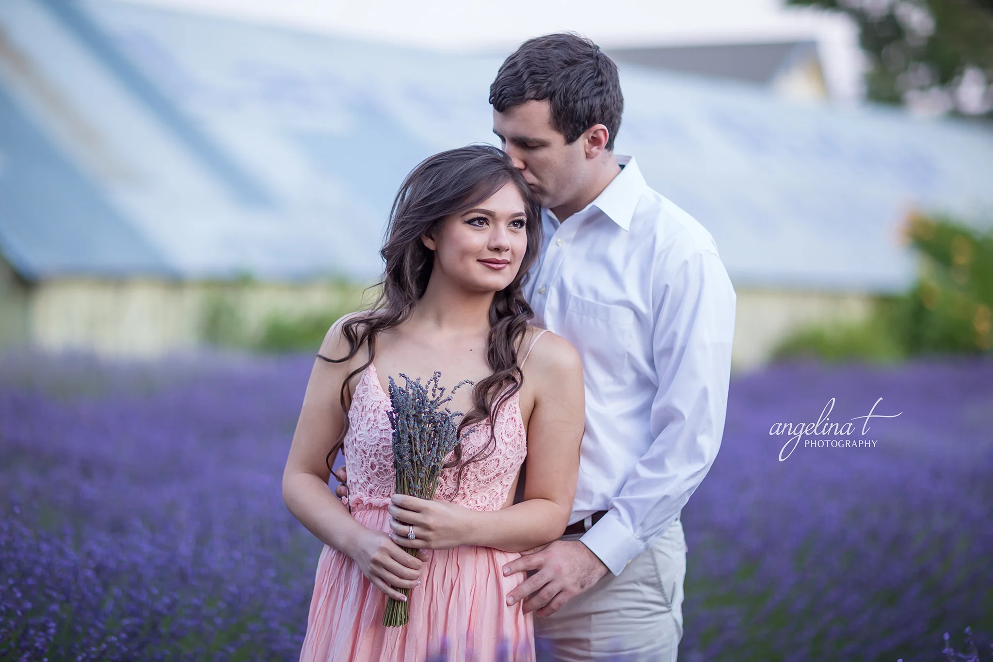Lavender Field Engagement, Northern California