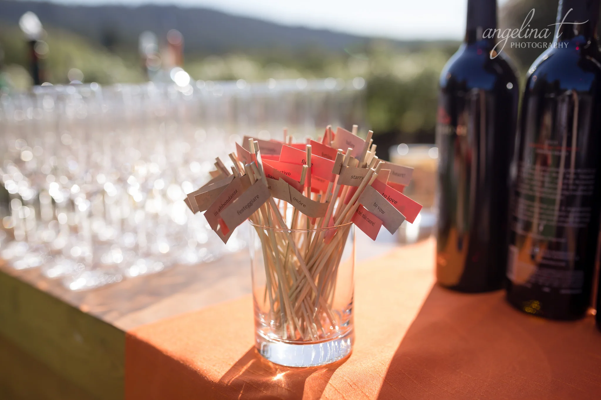 Sonoma-Wedding-Photographer-Annadel-Winery-35.jpg