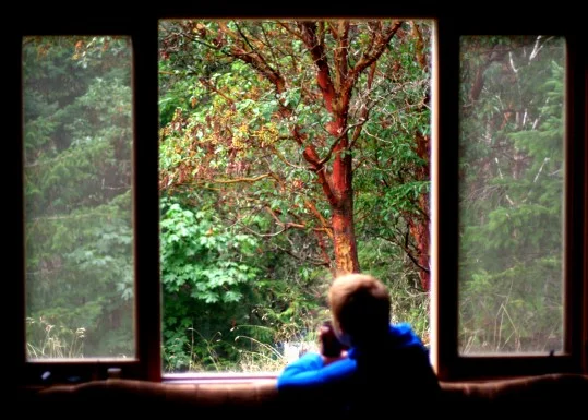 Coming out on Thanksgiving