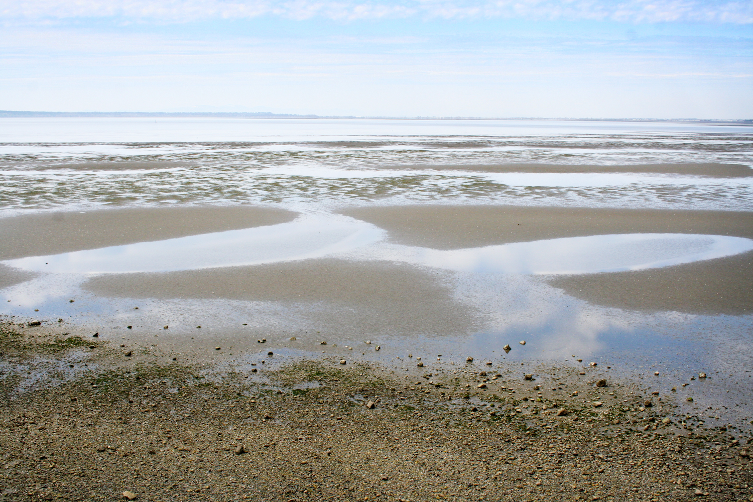 Mental Health and the Church - 5 Tips for Pastors & Friends