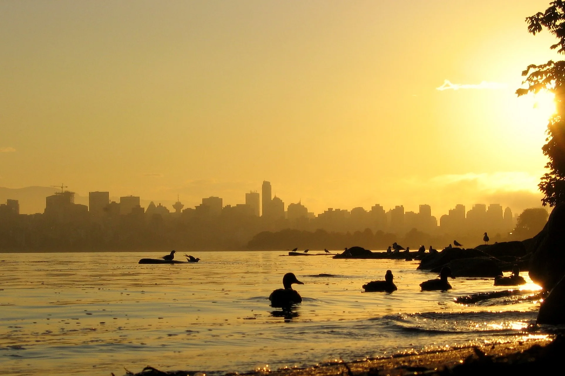 Reverse Gentrification