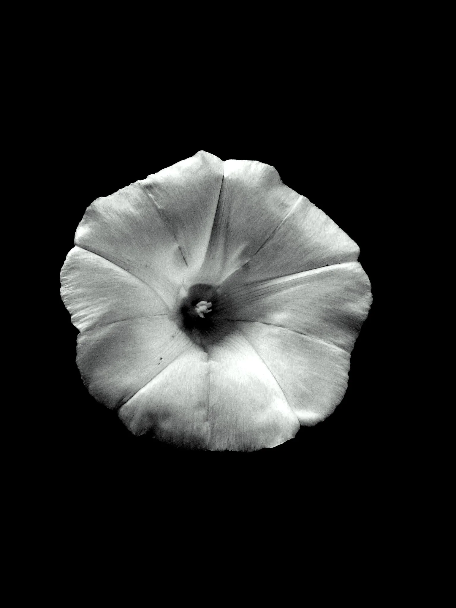 Dreaming... of an end to violence and exploitation