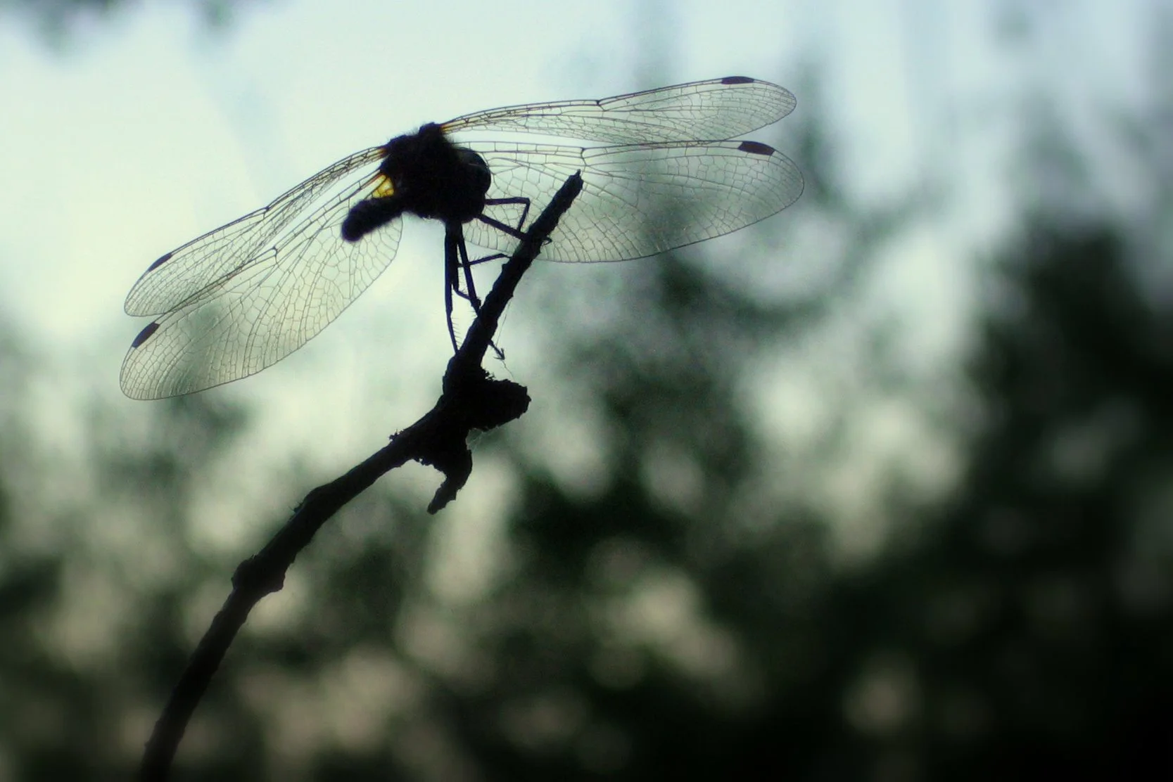 Neither a borrower nor a lender be?