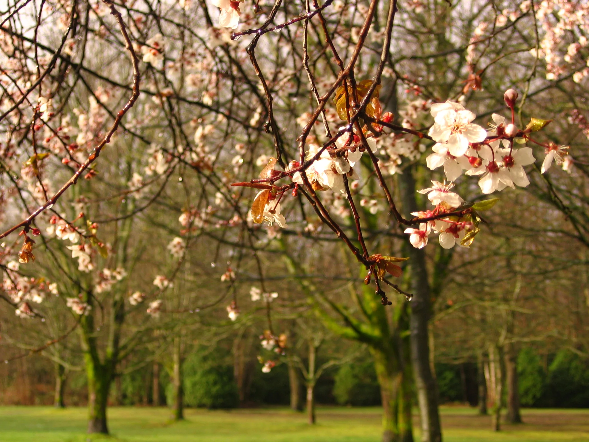 On how God can bring good things from tracts, in backwards ways.