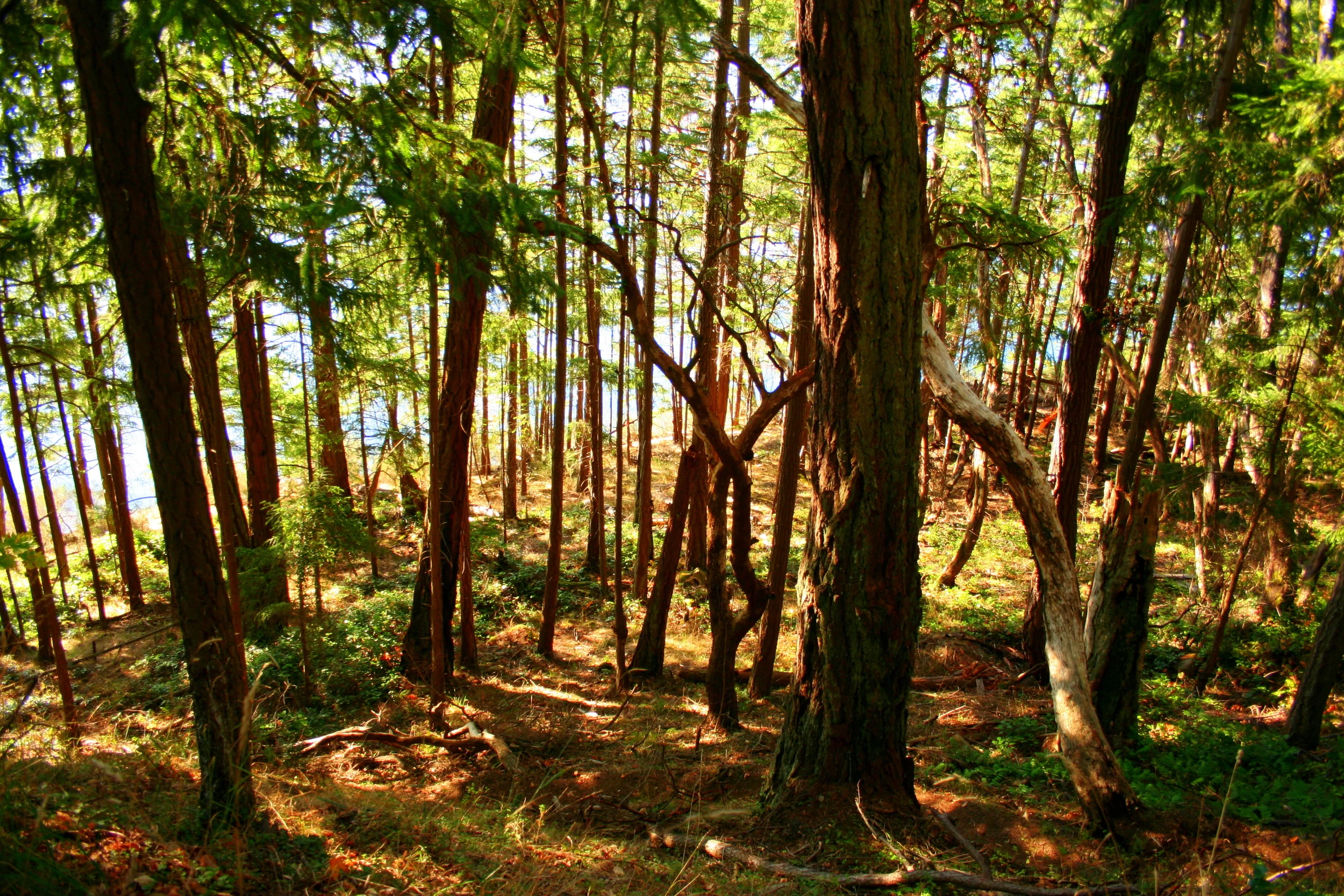 A Franciscan Benediction