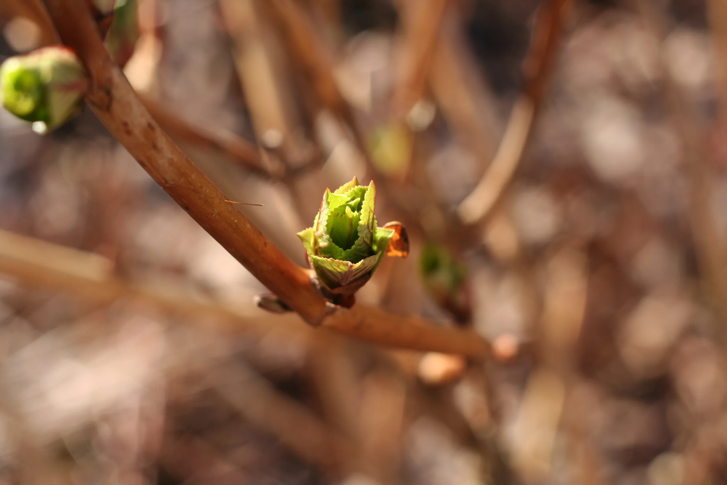 I have too much money.