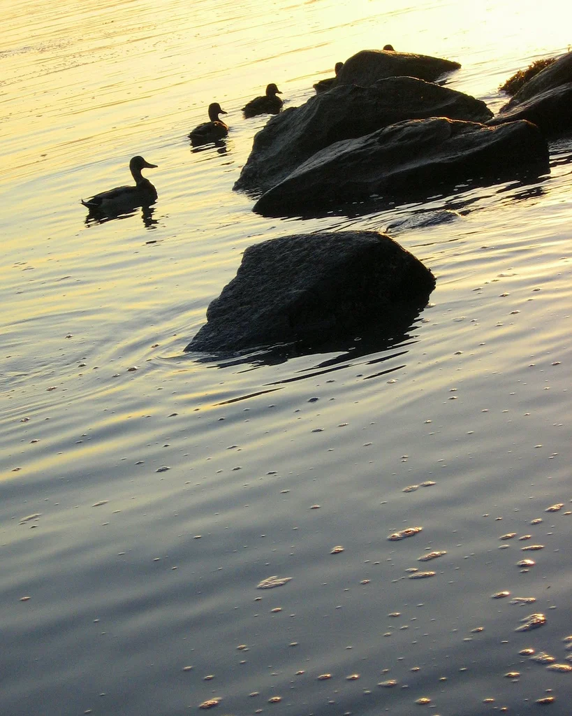 On Pre-grieving and Inscapes