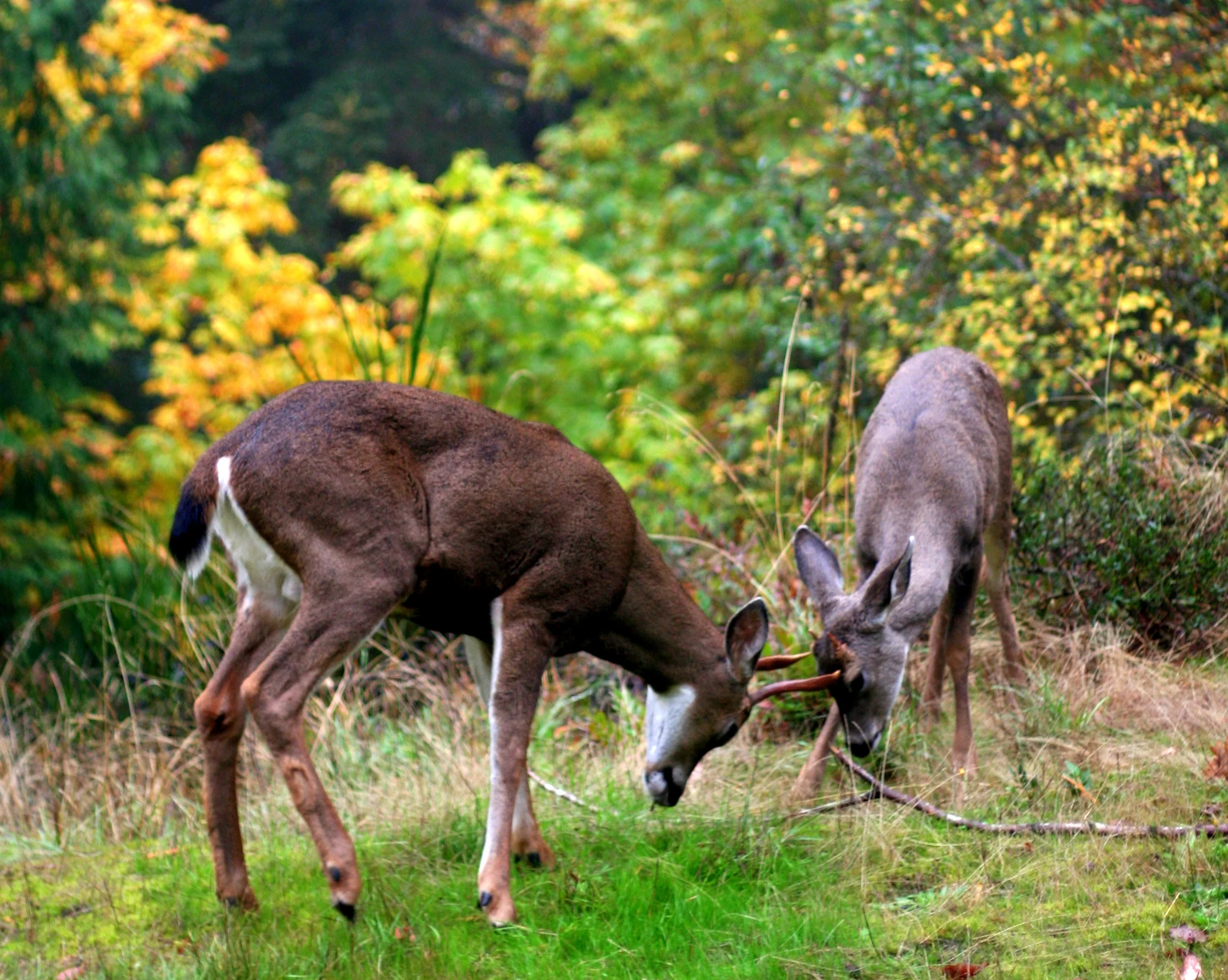 When wrestling with God, wear a cup.