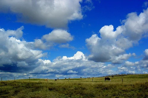 Hanging out with the Baptists