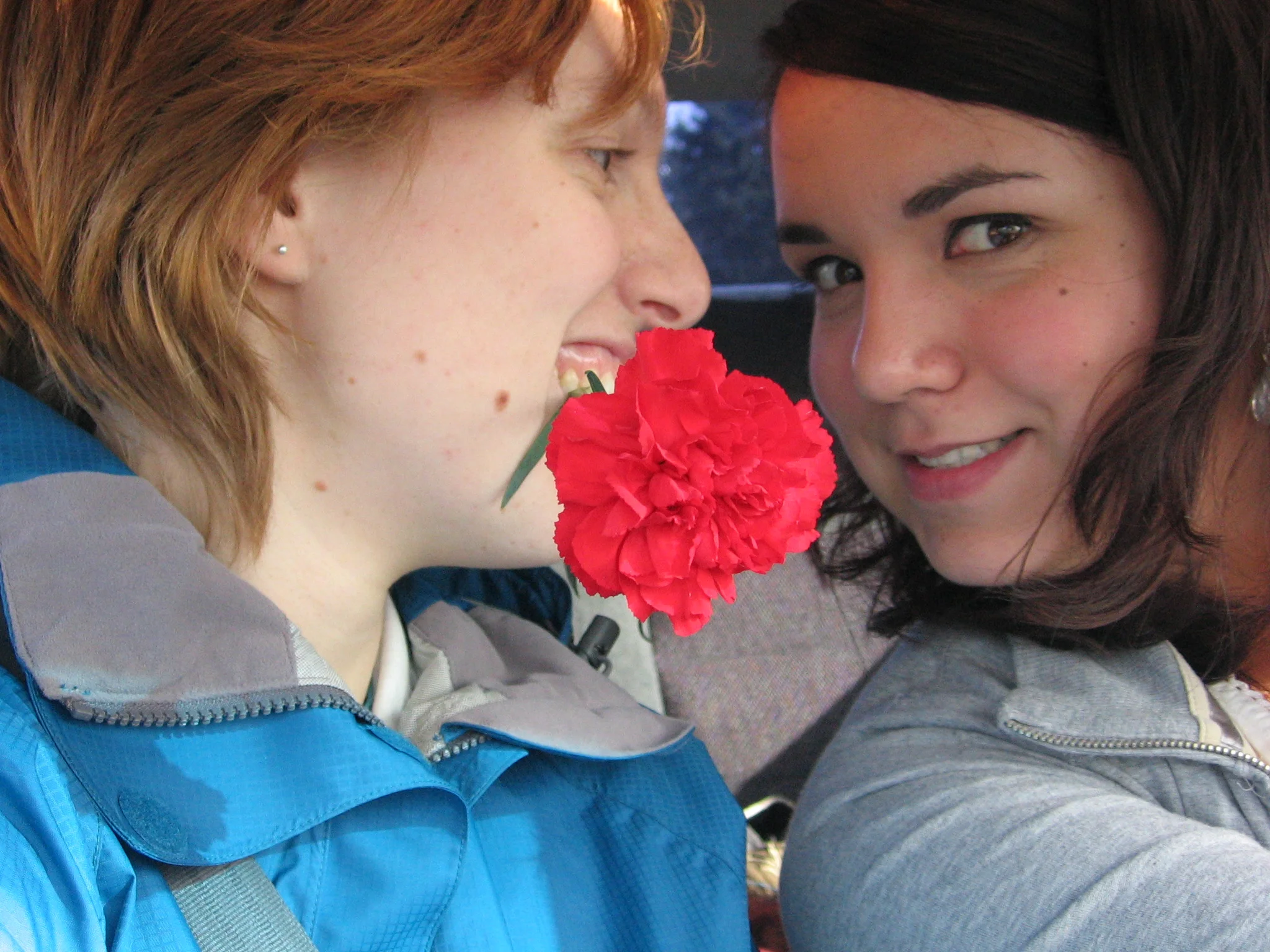 Crashes, MRIs and Mastering Divinity