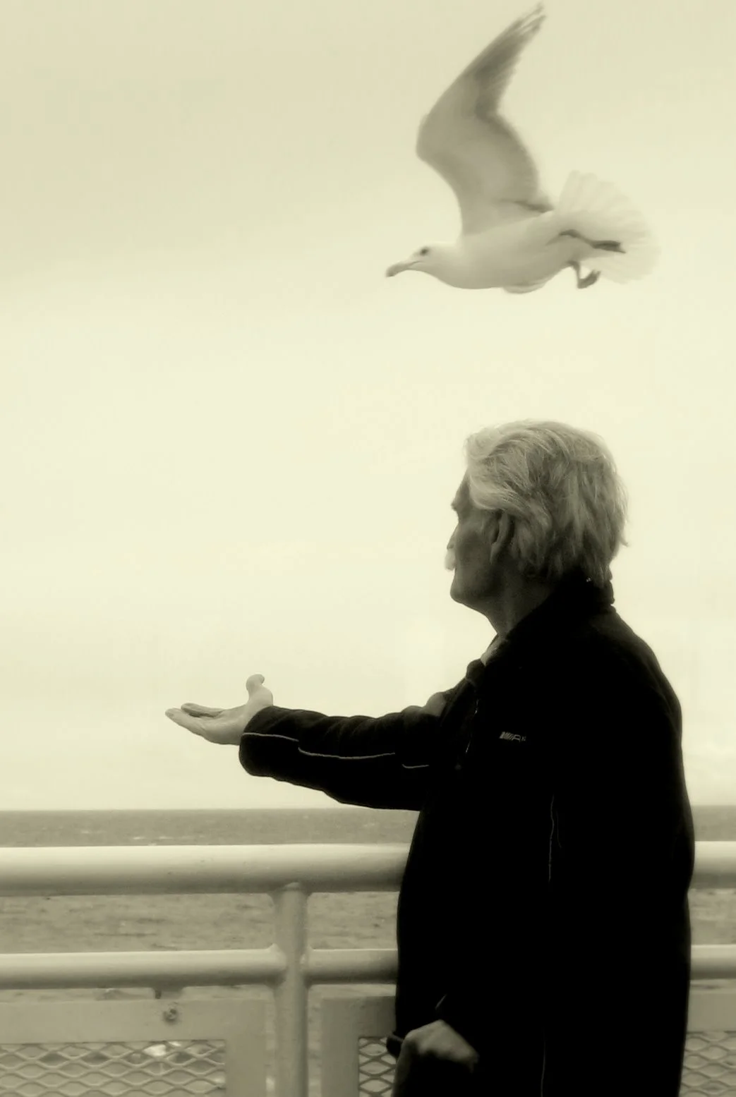 Why you should learn the morse code and avoid eating only chocolate muffins for supper