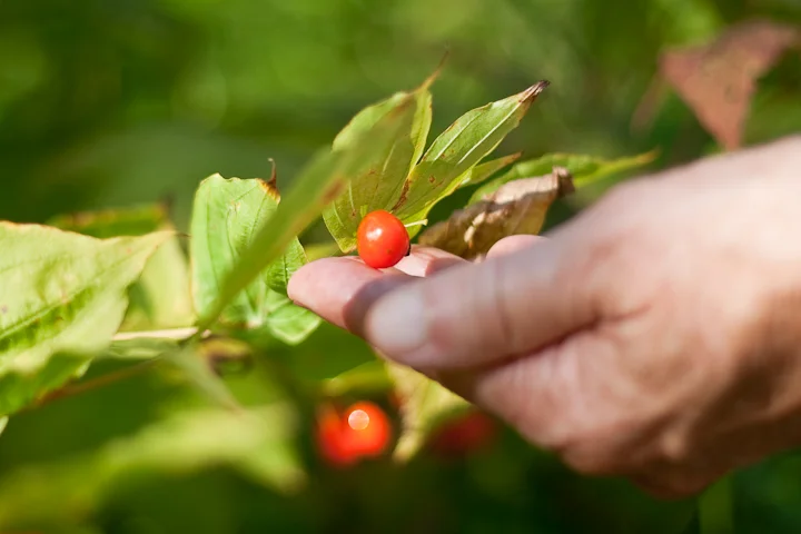 The next best thing to living in communes