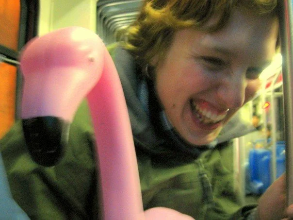 Studying and flamingos