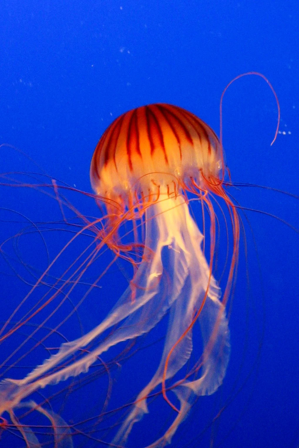 I feel most strongly what I write about least