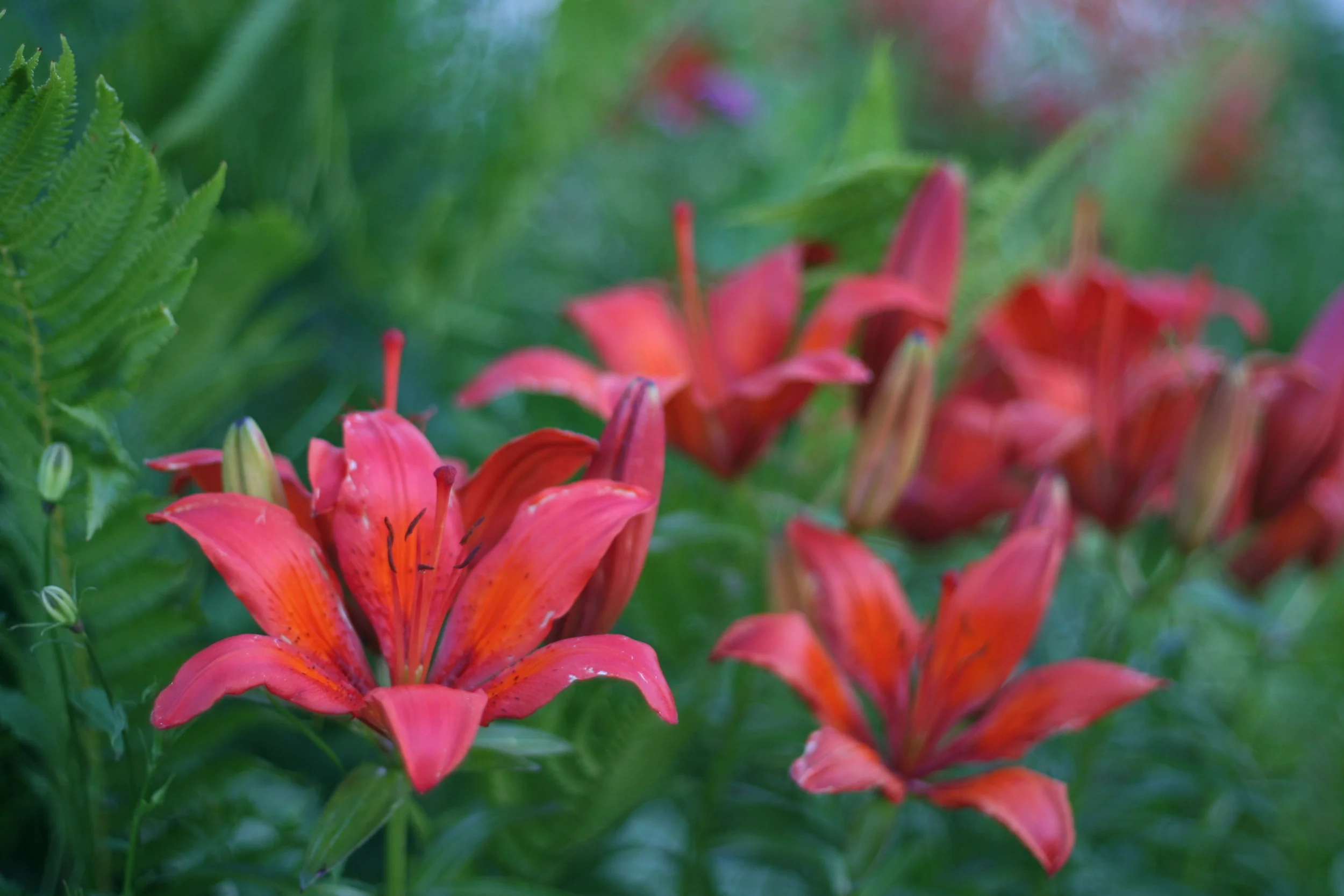 Maybe I'm craaaaazyyyy...