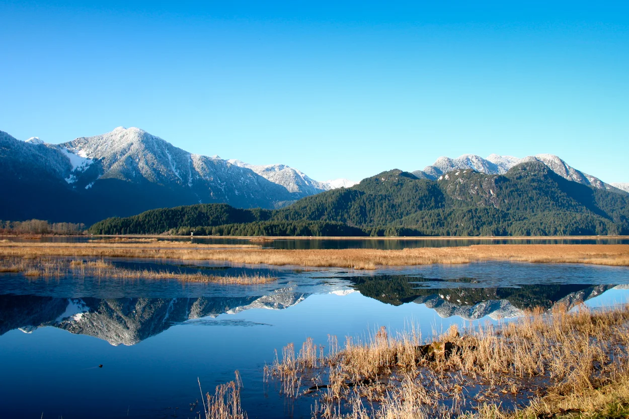 January 2016 Ponderings