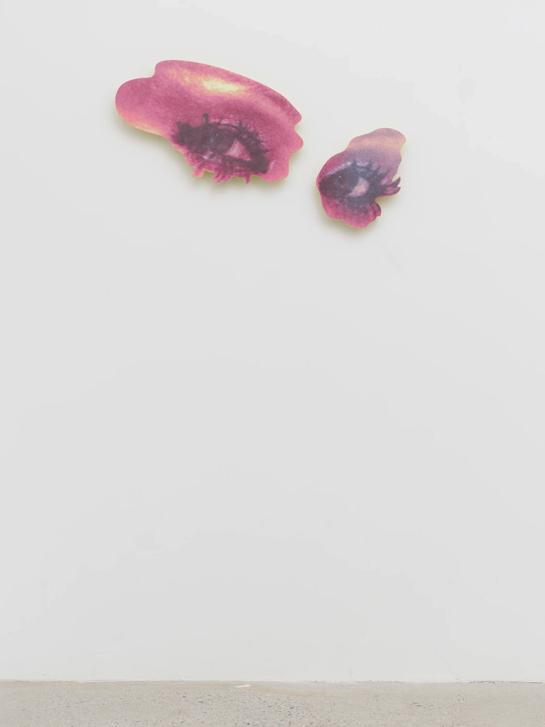 TAMMY, COY Inkjet print and spray paint on plywood 17in x 32in 2017