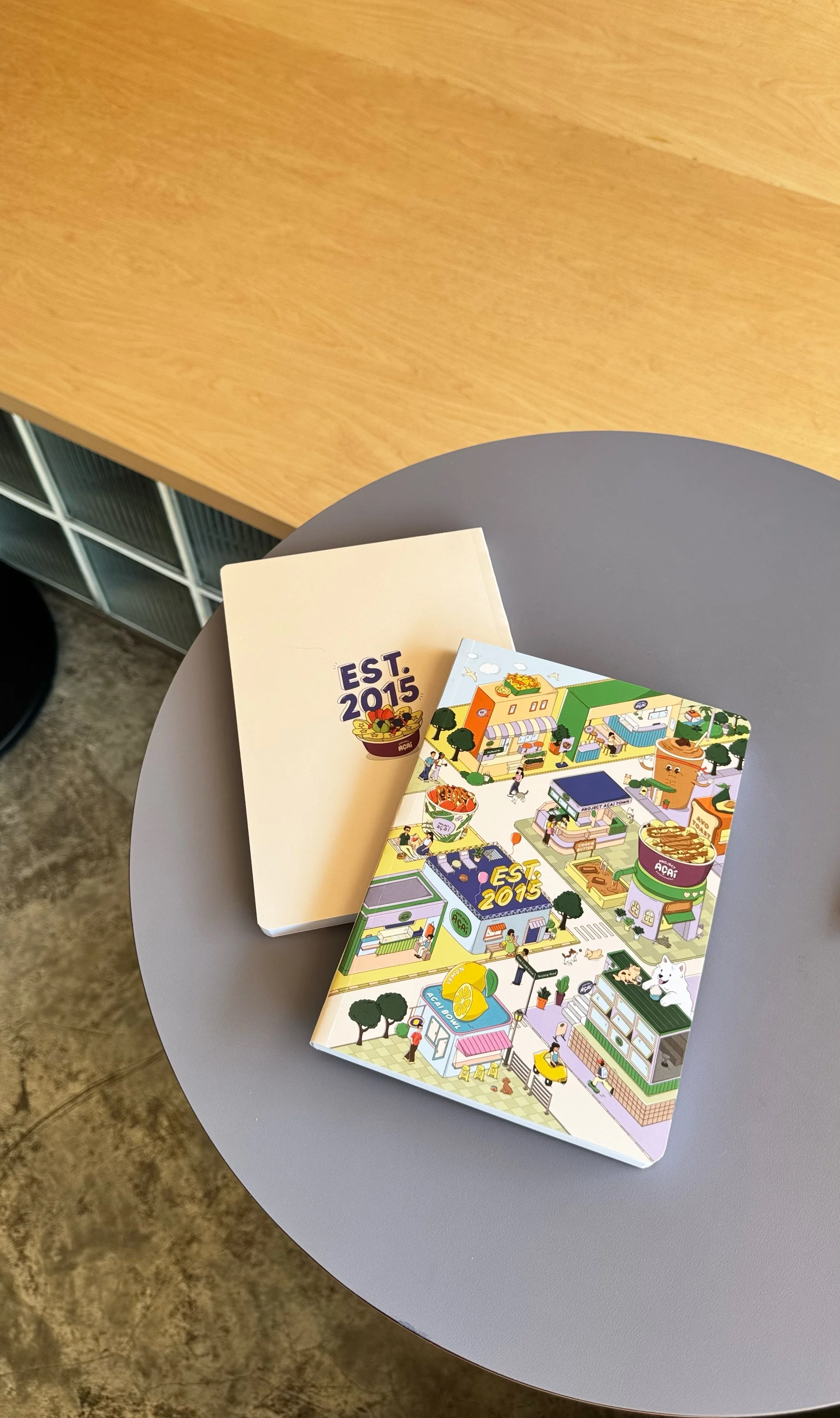 100th Anniversary Notebook