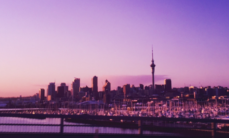 Sunrise in Auckland. This photo was snapped on the way back across the Harbour Bridge on the day we arrived.