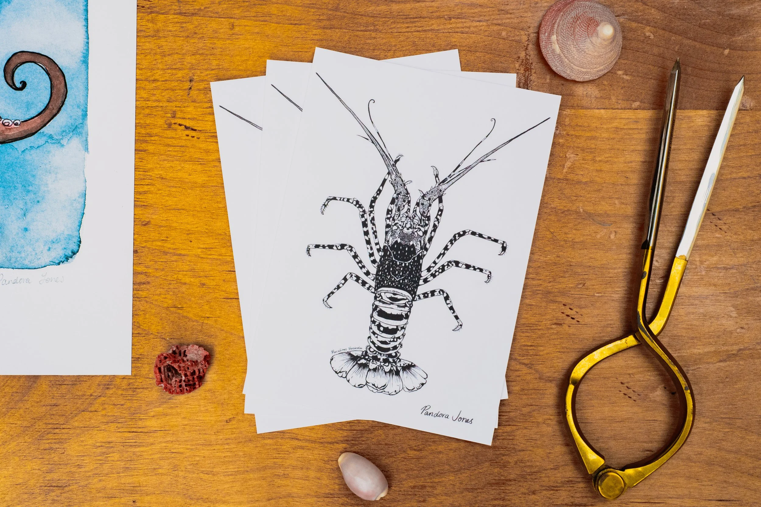 Crayfish Art Postcards ~ Pack of 4