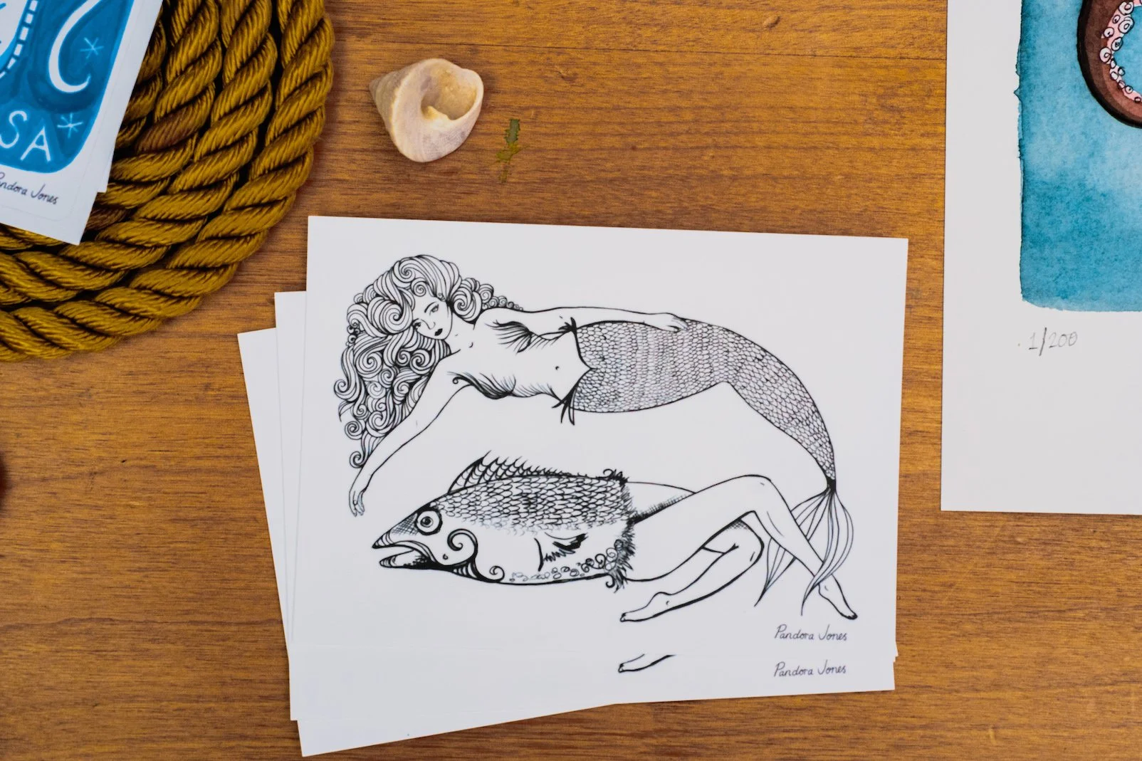 Sealegs Art Postcards ~ Pack of 4