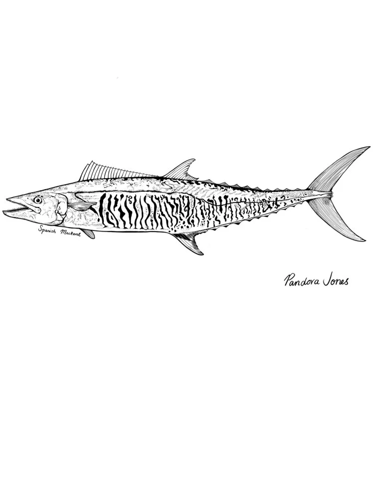 5CD3C4B6-5063-4340-8C8F-BA019F510402