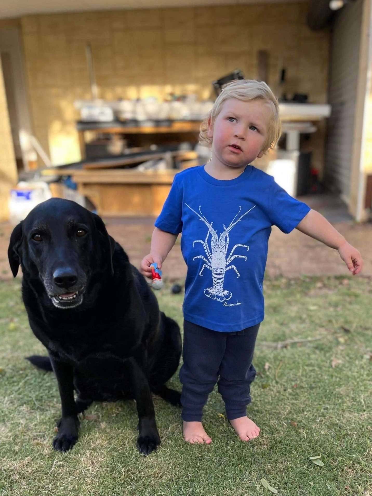 47082CDC-6472-47FB-9E8C-E69E25D08FA1