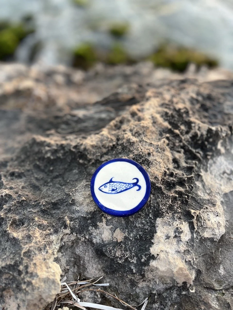 IMG_3655 2 Large.jpeg