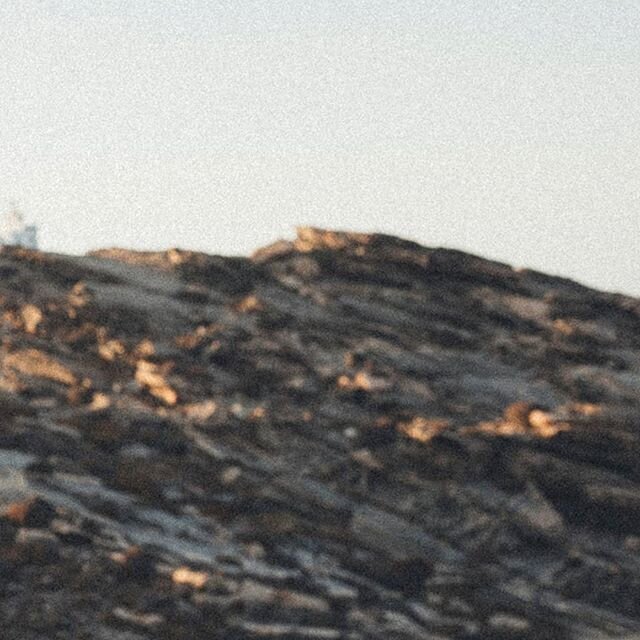 The Beauty of 🇬🇷 Paros

client // @jackwolfskin
photography // @baskephoto
styling // @lottakmeyer

#outdoors
#highsummer
#hikevibes