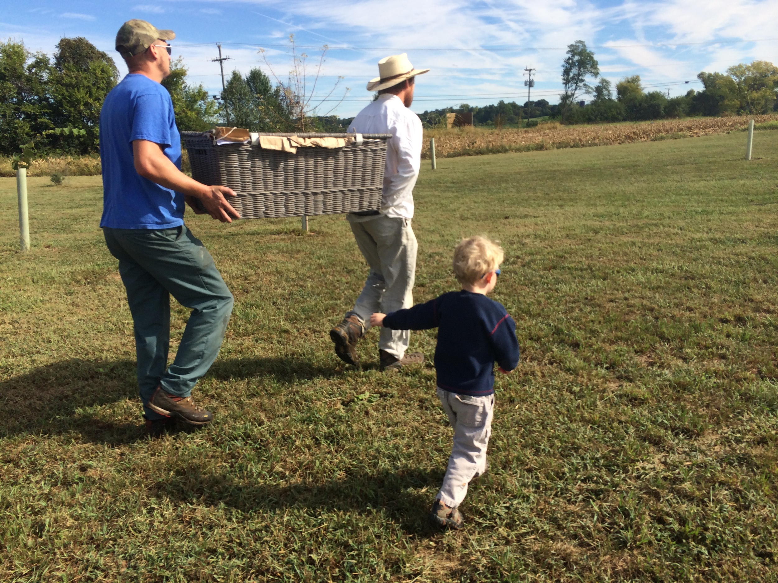  At three weeks of age, the chickens are moved from the brooder to pasture shelters.