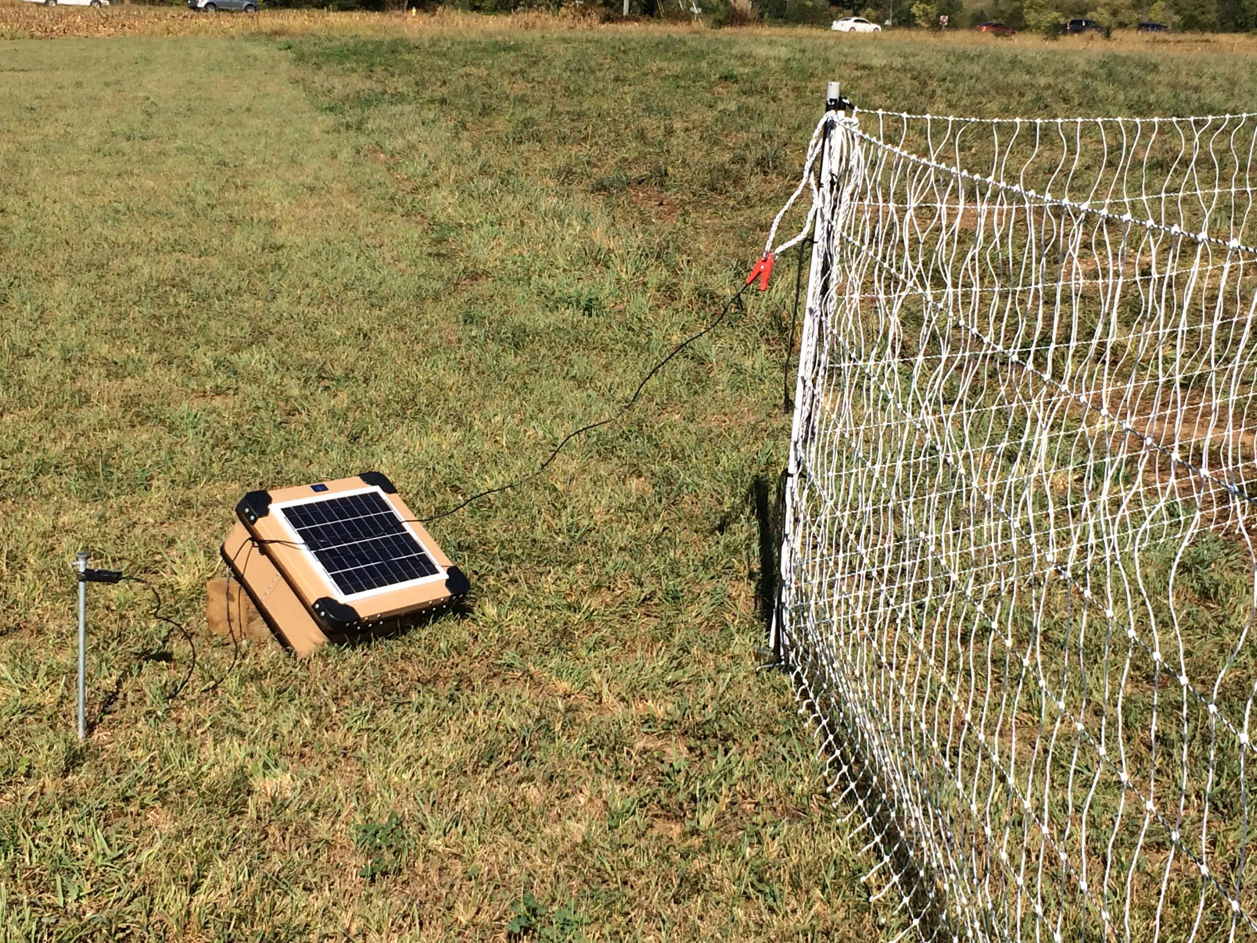 The shelters are surrounded by a solar-powered electric fence that provides an added level of protection from ground predators.