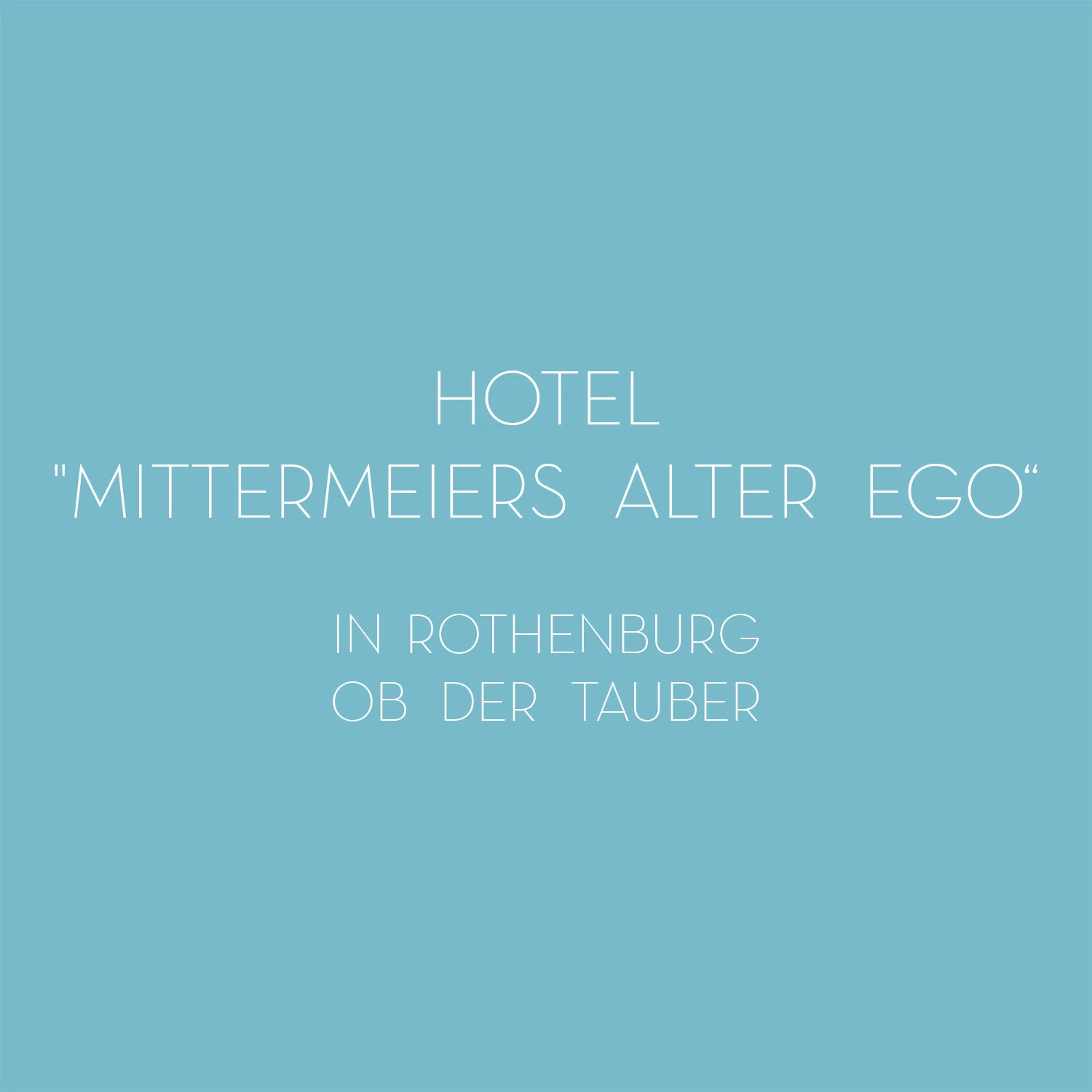 Cover Mittermeiers_Alter_Ego.jpg